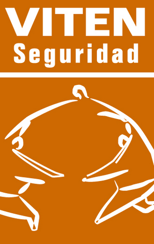 Vitenseguridad